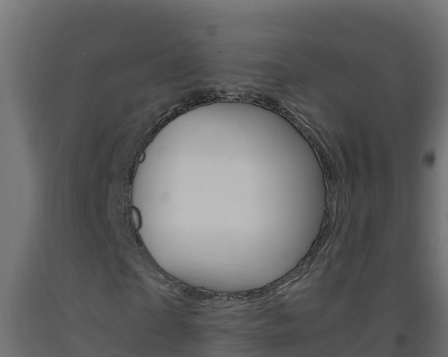 X0000093730865200710160811