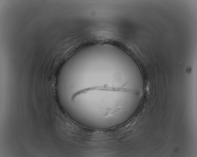 X0000093730867200710160811