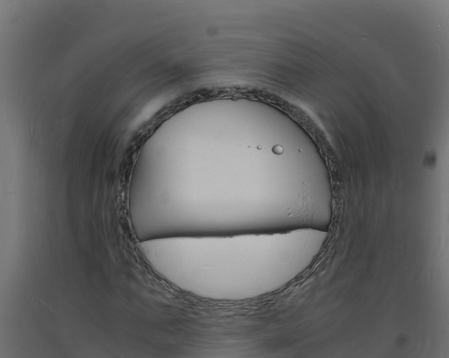 X0000093730871200710160811