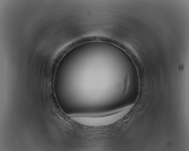 X0000093730872200710160811