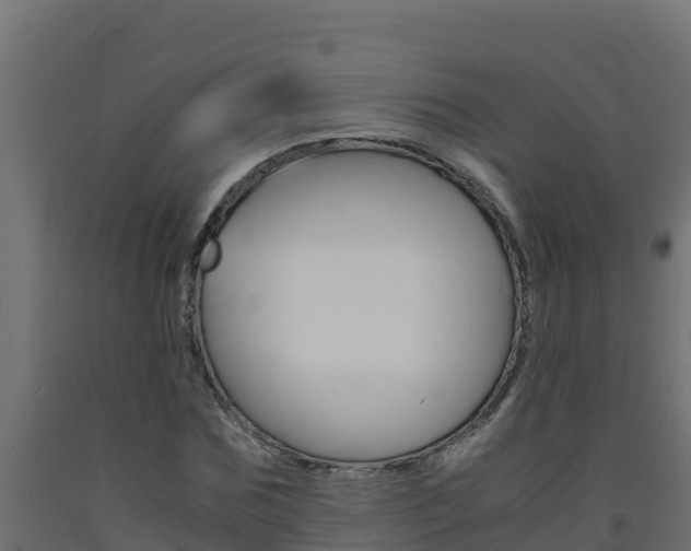 X0000093730875200710160811