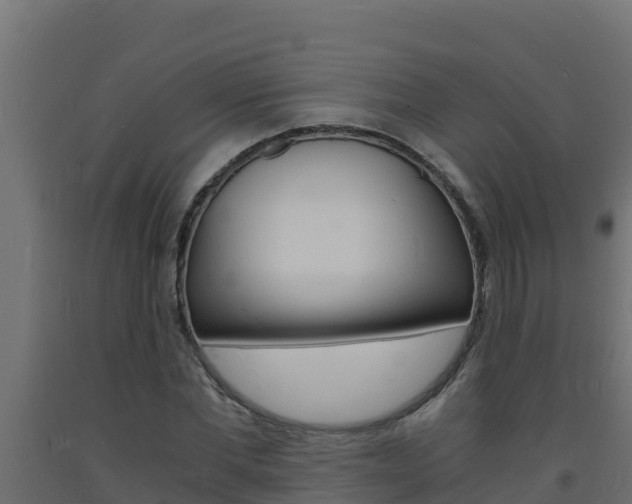 X0000093730877200710160811
