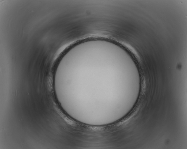 X0000093730878200710160811