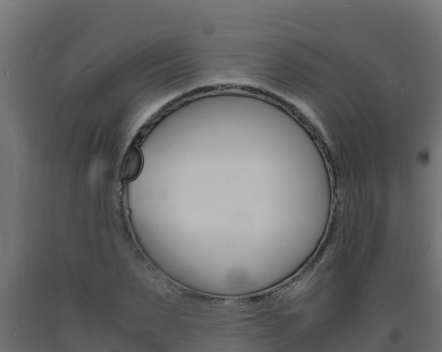 X0000093730879200710160811