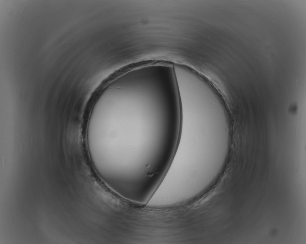 X0000093730880200710160811