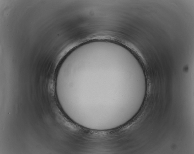 X0000093730882200710160811