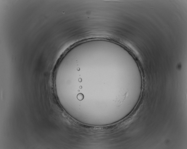 X0000093730883200710160811
