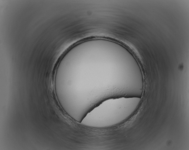 X0000093730887200710160811