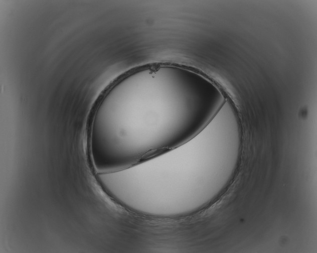 X0000093730888200710160811