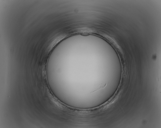 X0000093730889200710160811