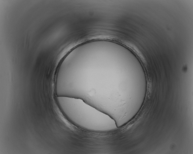 X0000093730890200710160811
