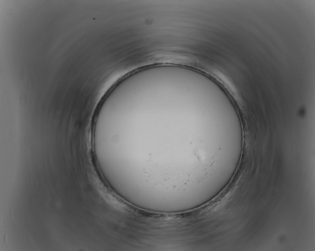 X0000093730891200710160811