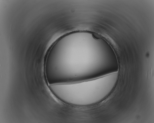 X0000093730894200710160811