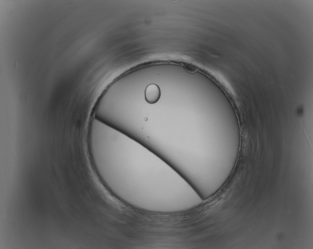 X0000093730895200710160811