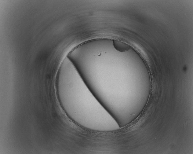 X0000093730899200710160811