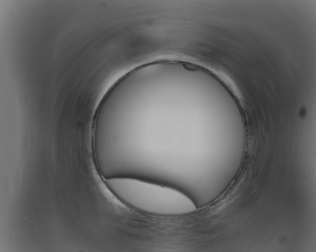 X0000093730903200710160811