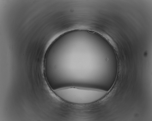 X0000093730904200710160811