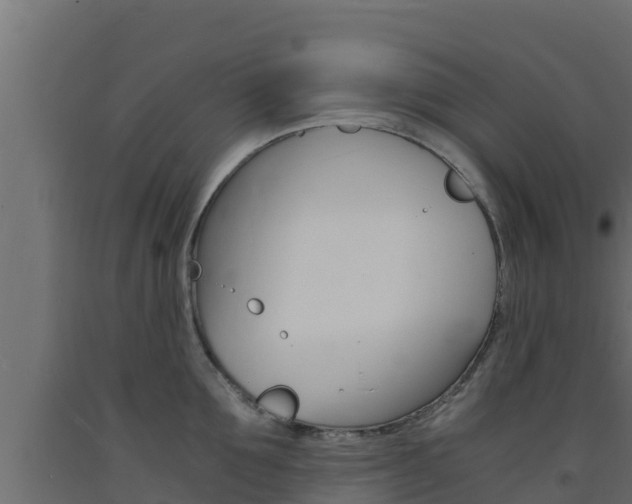 X0000093730907200710160810