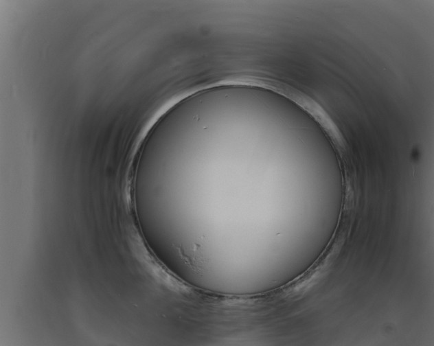 X0000093730908200710160810