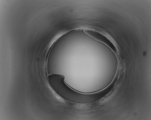 X0000093730909200710160810