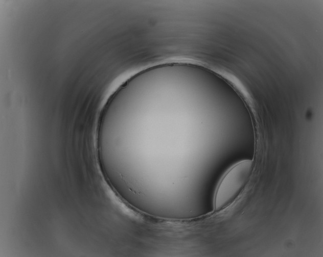 X0000093730910200710160810