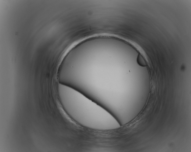 X0000093730911200710160810