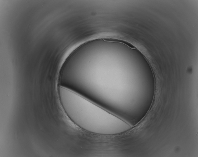 X0000093730912200710160810