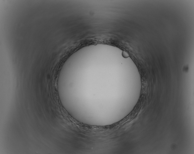 X0000093730913200710160810
