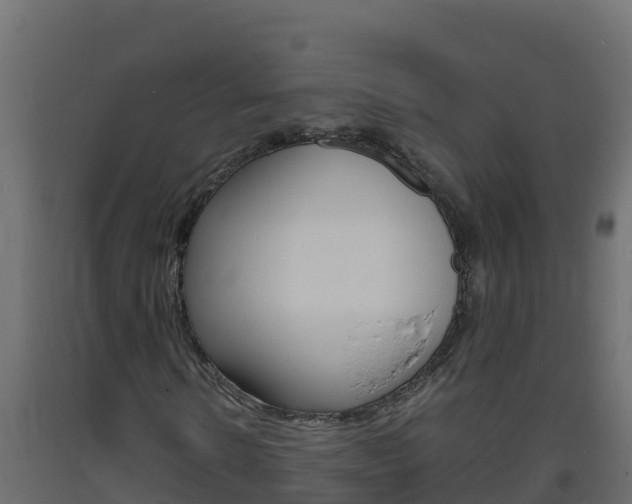 X0000093730914200710160810