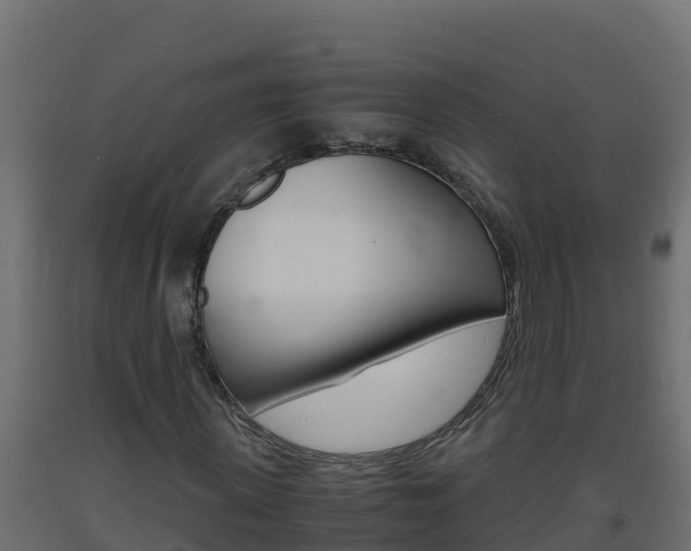 X0000093730915200710160810