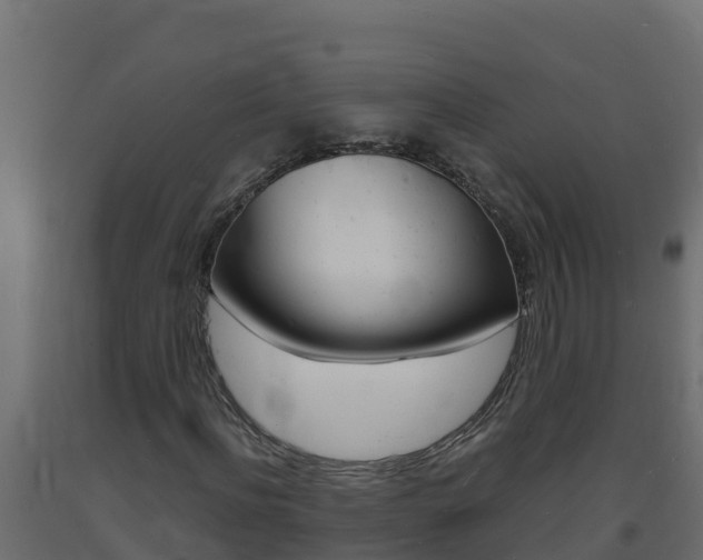 X0000093730916200710160810