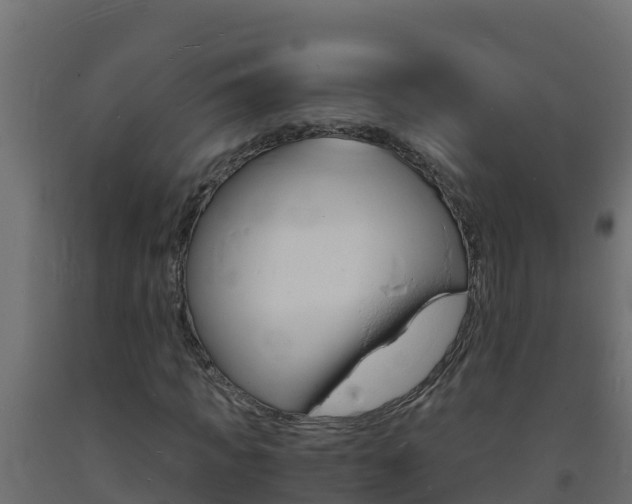 X0000093730917200710160810