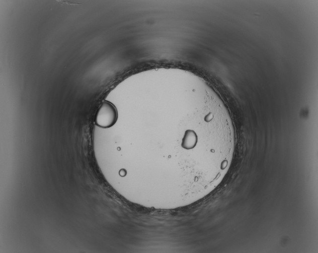 X0000093730918200710160810