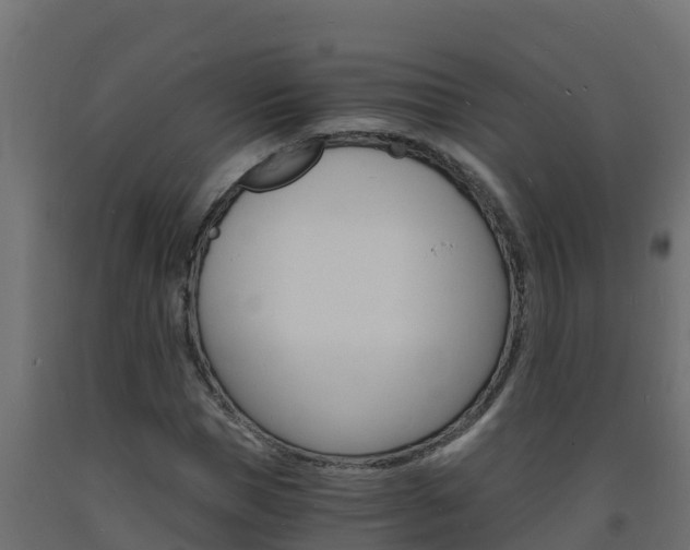 X0000093730921200710160810