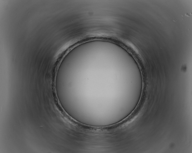 X0000093730922200710160810