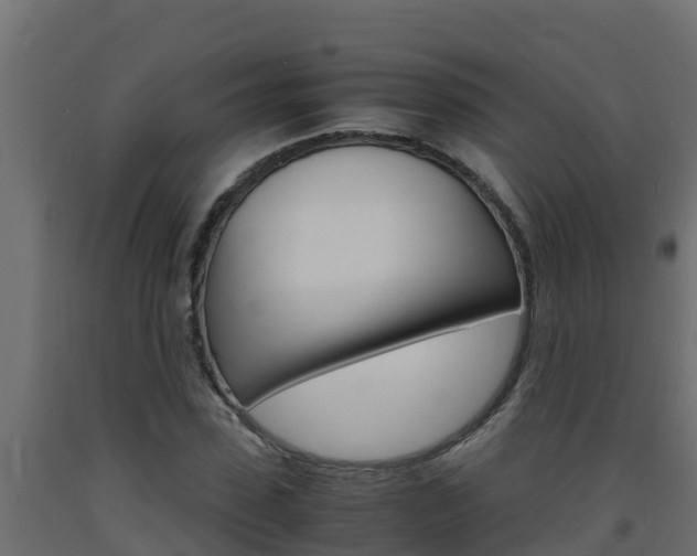 X0000093730923200710160810