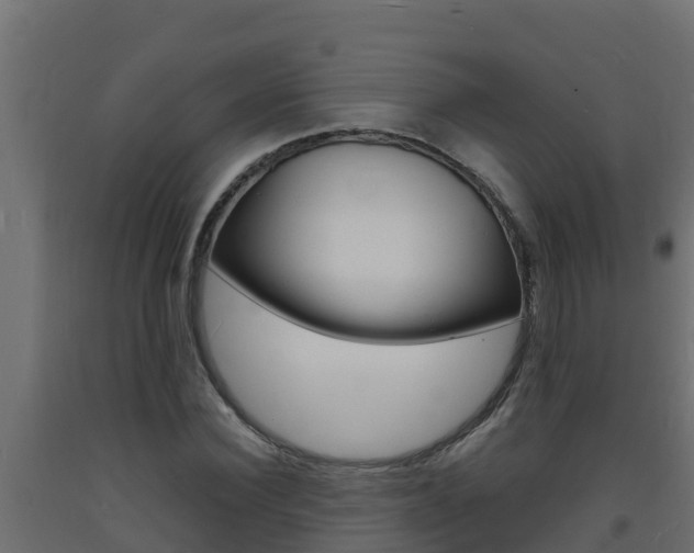 X0000093730924200710160810