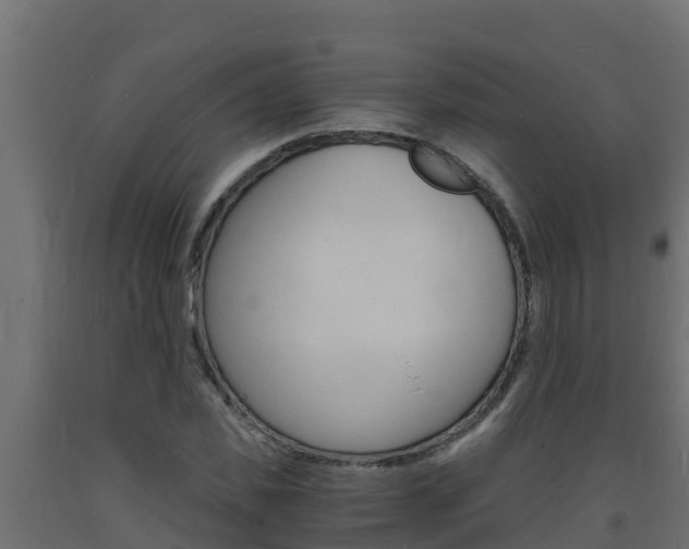 X0000093730925200710160810