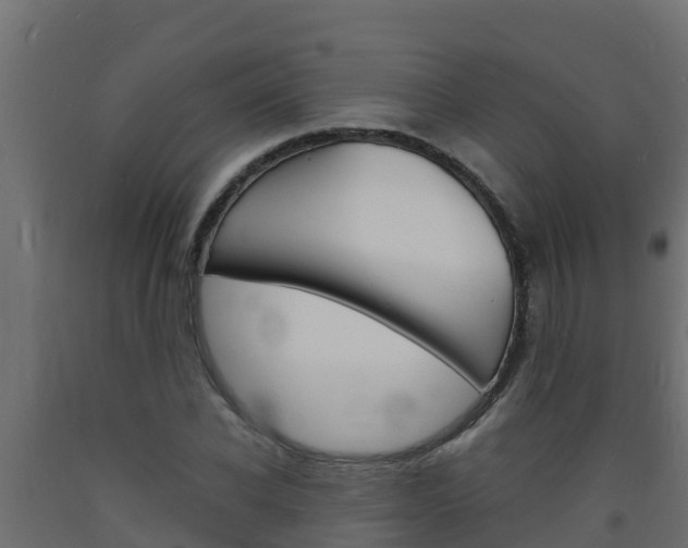 X0000093730926200710160810