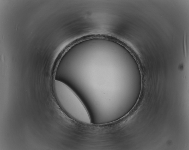 X0000093730927200710160810