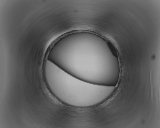 X0000093730928200710160810