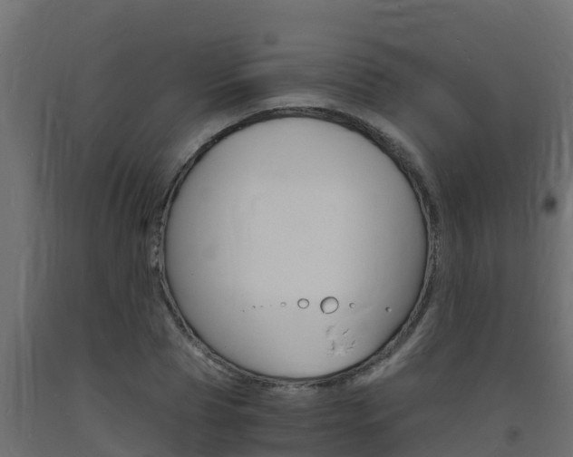 X0000093730929200710160810