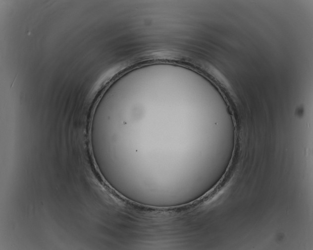 X0000093730930200710160810