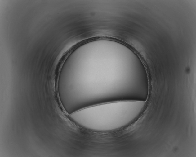 X0000093730931200710160810