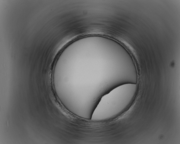 X0000093730933200710160810