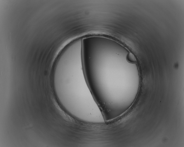 X0000093730934200710160810