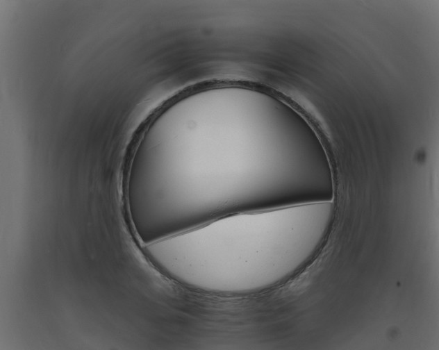 X0000093730935200710160810