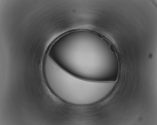 X0000093730936200710160810