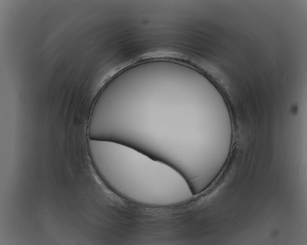 X0000093730937200710160810