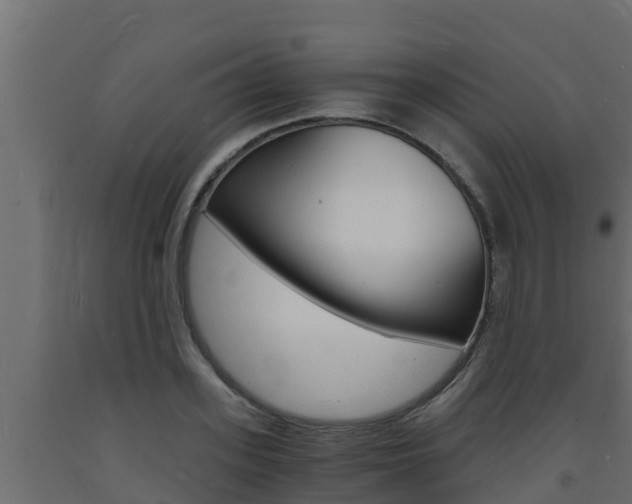 X0000093730939200710160810